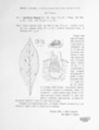 Gymnosporangium mespili image